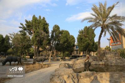باغ وحش مصنوعی دربندرعباس