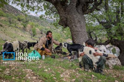 معلمی دلسوز دردهکده
