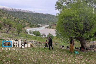 معلمی دلسوز دردهکده