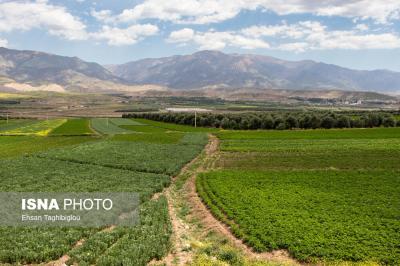 طبیعت بهاری «طارُم»، هندوستان ایران