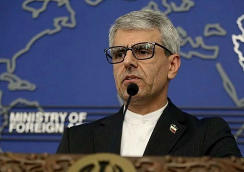  بقائی: ما با کشورهای منطقه خصومت نداریم 