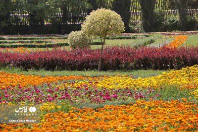 اردیبهشتِ باغ گل‌های شیراز