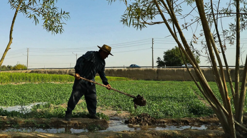 خبر خوش  برای مستمری بگیران روستایی