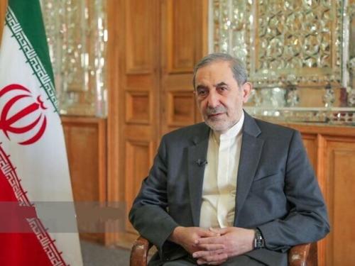 شما شکست خورده‌های در میدان، پیروزِ دیپلماسی هم نخواهید شد