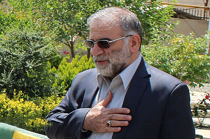 دانشمندی که مرگ سال‌ها دنبالش بود