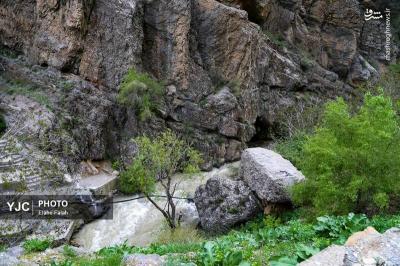  آبشار آب سفید 