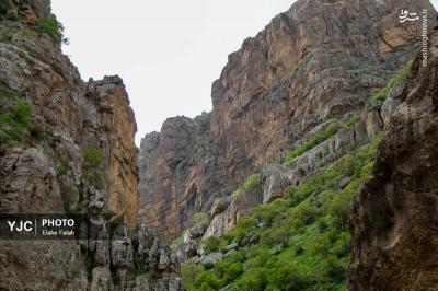  آبشار آب سفید 