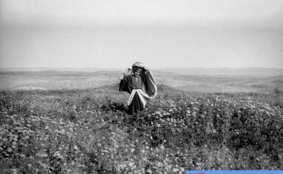  فلسطین پیش از نکبت / عکس