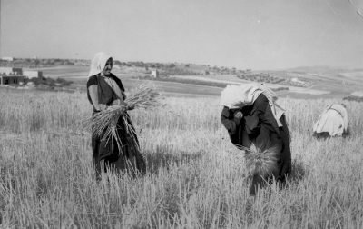  فلسطین پیش از نکبت / عکس