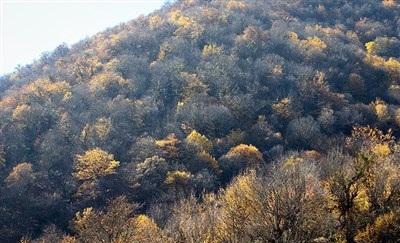 عکس/  طبیعت زیبای پاییزی گرگان 