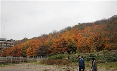 عکس/  طبیعت زیبای پاییزی گرگان 