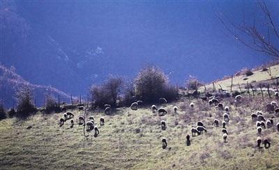 عکس/  طبیعت زیبای پاییزی گرگان 