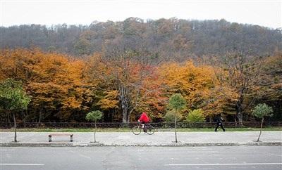 عکس/  طبیعت زیبای پاییزی گرگان 