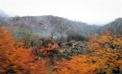 عکس/  طبیعت زیبای پاییزی گرگان 