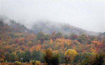 عکس/  طبیعت زیبای پاییزی گرگان 
