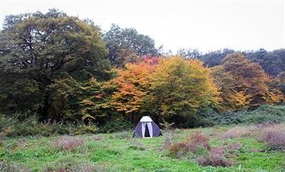 عکس/  طبیعت زیبای پاییزی گرگان 