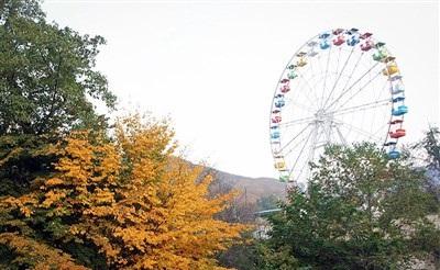 عکس/  طبیعت زیبای پاییزی گرگان 