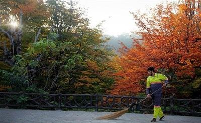 عکس/  طبیعت زیبای پاییزی گرگان 