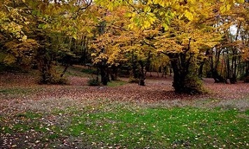عکس/  طبیعت زیبای پاییزی گرگان 