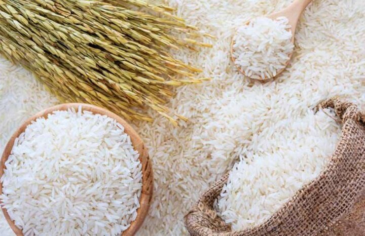 نوسان دربازاربرنج نداریم