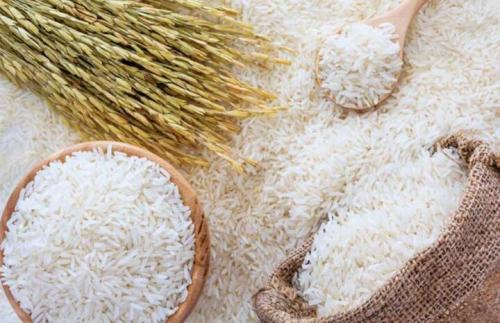 نوسان دربازاربرنج نداریم