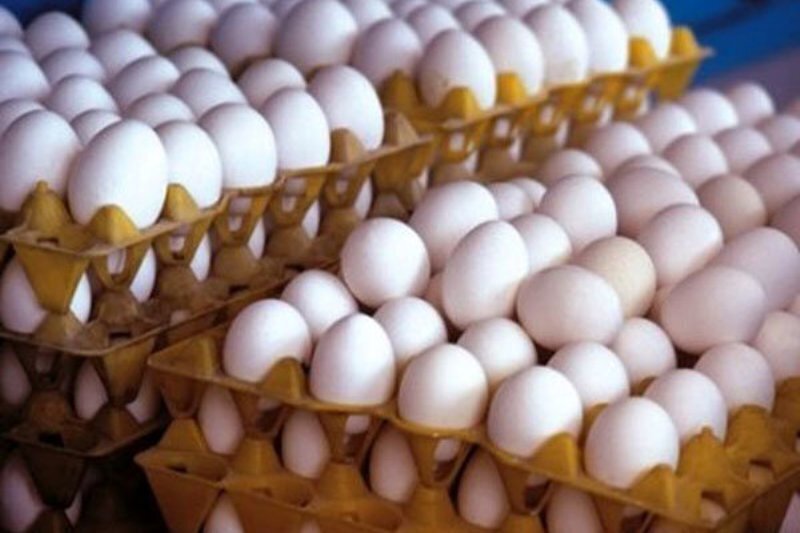 قیمت  تخم مرغ در وانت‌های سطح شهر  ۱۳۰ هزار تومان