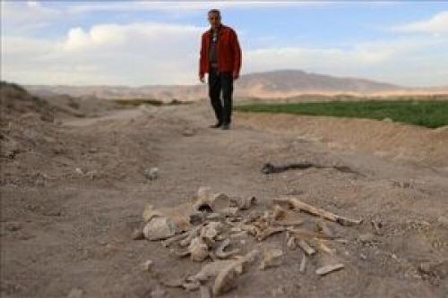 کشف یک گور جمعی در دمشق
