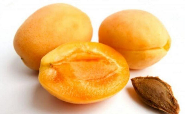 معجزه زردآلو از کبد چرب تا کلاژن‌سازی