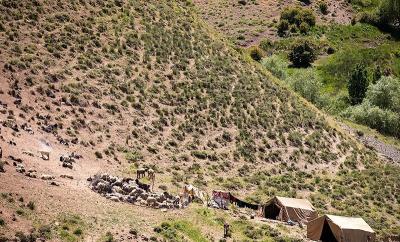 عشایر بختیاری در شهرستان الیگودرز