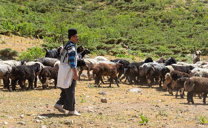 عشایر بختیاری در شهرستان الیگودرز