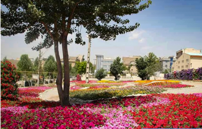  مقصدی برای دوستداران طبیعت / عکس