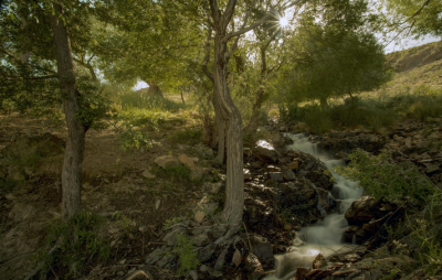  مقصدی برای دوستداران طبیعت / عکس