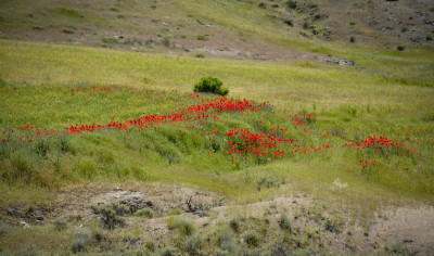  مقصدی برای دوستداران طبیعت / عکس