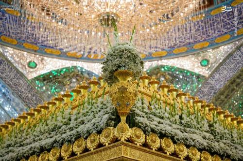 عکس/ گل‌آرایی ضریح امامین عسکرین برای عیدالله اکبر