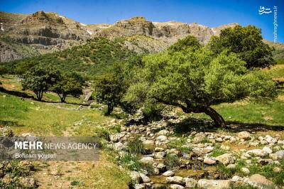آبشاردره اسپردرلرستان