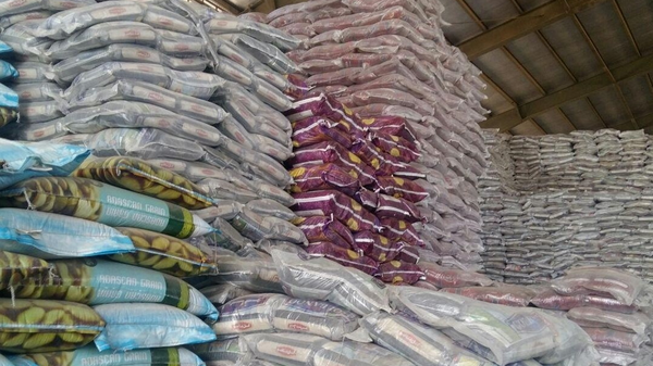 خبر جدید دولت از انبارهای روغن و برنج