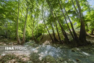 طبیعت «تنگ گنجه‌ای» یاسوج 