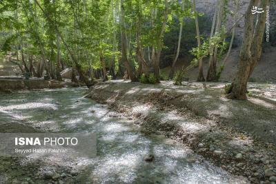 طبیعت «تنگ گنجه‌ای» یاسوج 