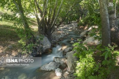 طبیعت «تنگ گنجه‌ای» یاسوج 