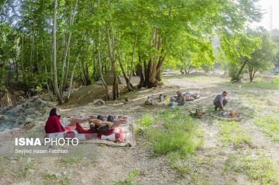 طبیعت «تنگ گنجه‌ای» یاسوج 
