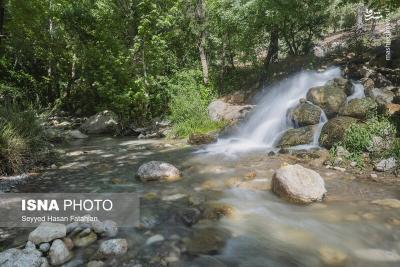 طبیعت «تنگ گنجه‌ای» یاسوج 