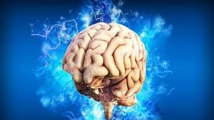 ۱۰ عادت مهم برای سلامت مغز را بشناسید