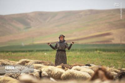 کوچ عشایرلرستان