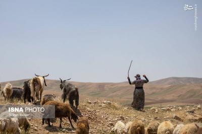 کوچ عشایرلرستان