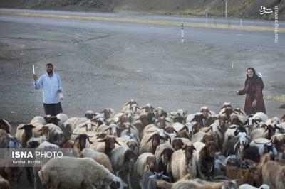 کوچ عشایرلرستان