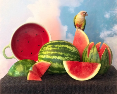 جلوه‌ای از هنر با موبایل / عکس