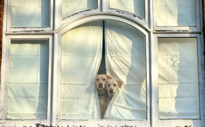 جلوه‌ای از هنر با موبایل / عکس