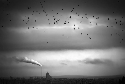 جلوه‌ای از هنر با موبایل / عکس