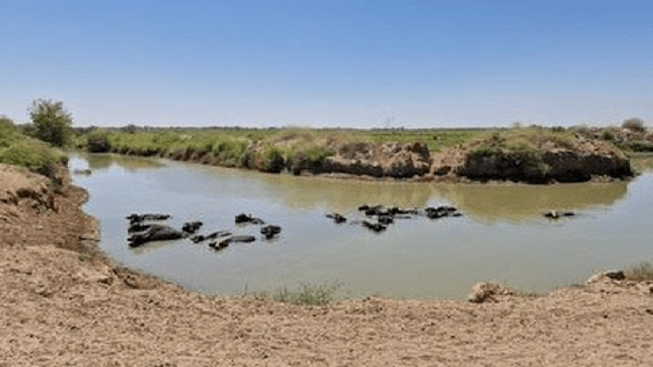 آب به هورالعظیم رسید