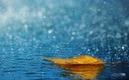 بارش برف و باران در 10 استان ایران/ هوا سرد می‌شود